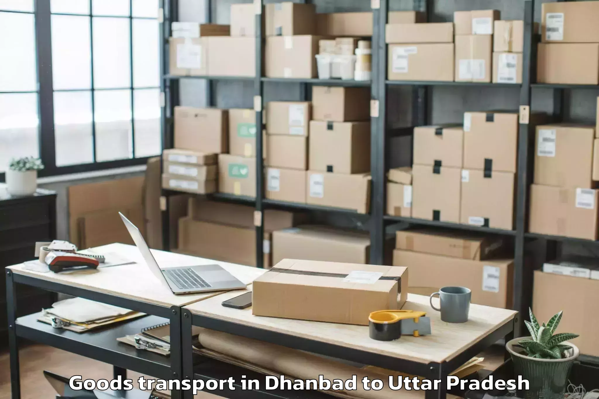 Dhanbad to Chaudhary Charan Singh Univers Goods Transport